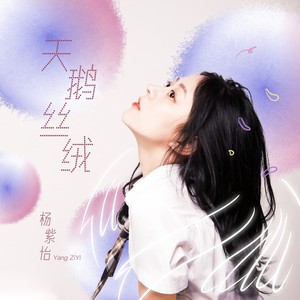 天鹅丝绒