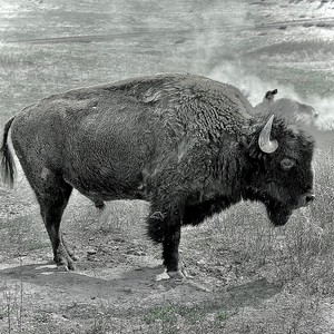 When I Leave the World