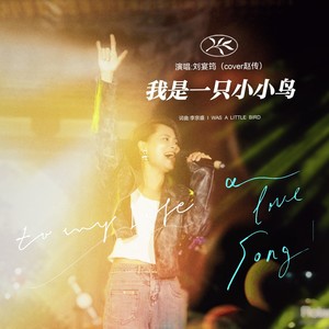 我是一只小小鸟 (Live)