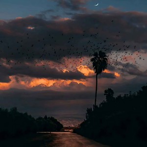 阳光下的星星 (架子鼓宿命版)