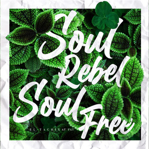 Soul Rebel, Soul Free