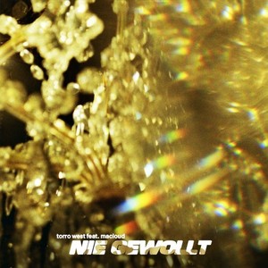 Nie gewollt (Explicit)