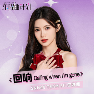 回响 (Calling when I'm gone)