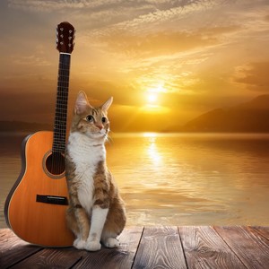 Cats' Waterside Serenity: Relaxing Guitar Harmonies