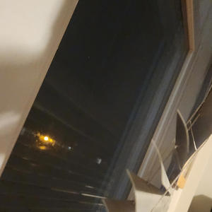 THE PIGS OF WASHINGTON