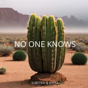 No One Knows