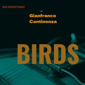 Birds (feat. Gianfranco Continenza)