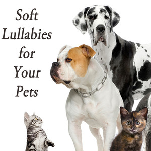 Soft Lullabies for Your Pets