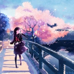 樱花飘落の四月