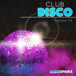 Club Disco Volume 24