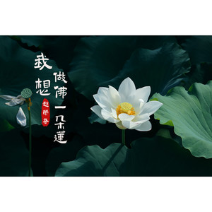 我想做佛一朵莲 (伴奏)