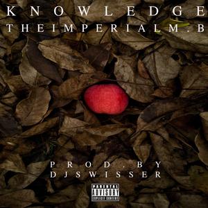 Knowledge (Explicit)