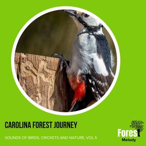 Carolina Forest Journey - Sounds of Birds, Crickets and Nature, Vol.5