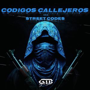 CODIGOS CALLEJEROS (Explicit)