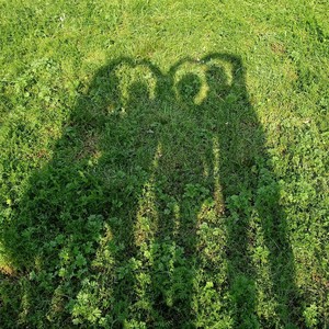 爱你就像爱生命