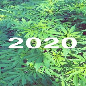 2020 (Explicit)