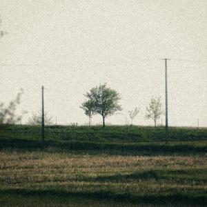 Like that (feat. Papercut) (Explicit)