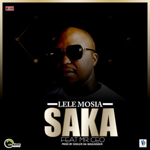 Saka (feat. Mr CEO)