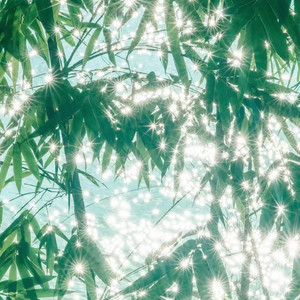 你是那美梦难忘记深藏在记忆中 (R&B版)