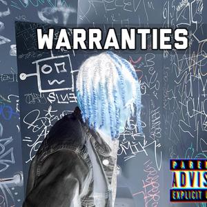 Warranties (Explicit)