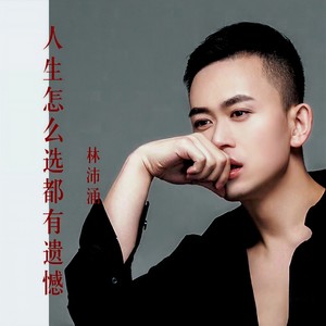 人生怎么选都有遗憾-林沛涌