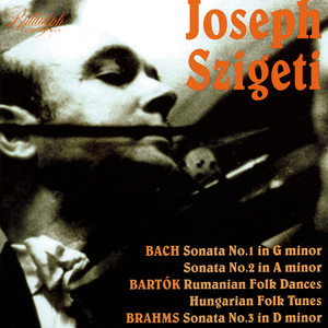 Violin Sonata No. 1 in G Minor, BWV 1001 - Violin Sonata No. 1 in G Minor, BWV 1001: I. Adagio