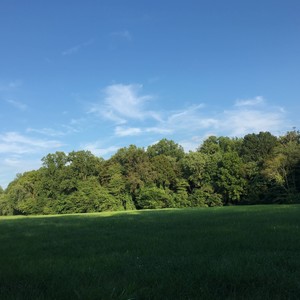 6AM (Anytime Before)