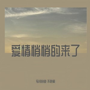 爱情悄悄的来了