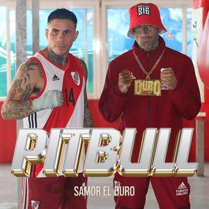 Duro pitbull (Explicit)