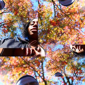 (flying) in (my) dreams (Explicit)