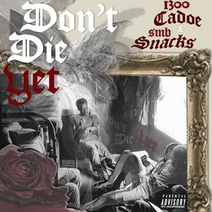 Don't Die Yet (Explicit)