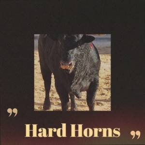 Hard Horns