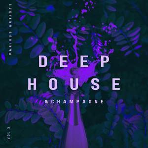 Deep-House and Champagne, Vol. 3 (Explicit)