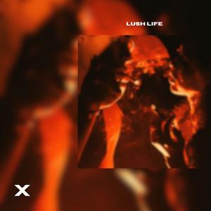 Lush Life (Techno)