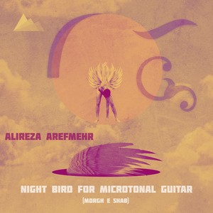 Night Bird for Microtonal Guitar (Morgh e Shab)