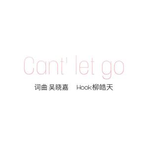 放不下Can't let go