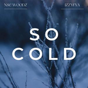 So Cold (feat. izzyfya)