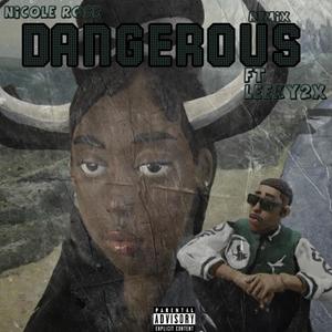 Dangerous (feat. Leeky2x) (Remix|Explicit)