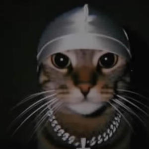 Runnin Da Gang! (feat. YPNBigX! & Swayy) (Explicit)