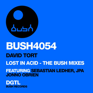 Lost in Acid (Sebastian Ledher and DJ Mara Remix)