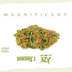 MAGNIFICENT (feat. AintDat3zy) [Explicit]