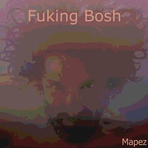 Fuking Bosh