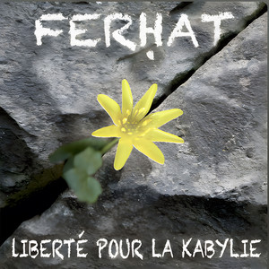 LIBERTE POUR LA KABYLIE