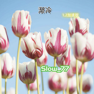 渐冷-Slow_77