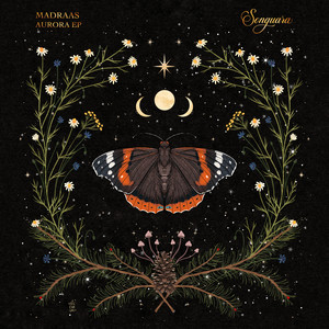 Northern Lights (Extended Mix)