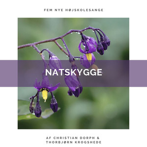 NATSKYGGE