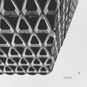 Dying Slave (Original Mix)