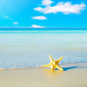 夏日循环 (纯享版)