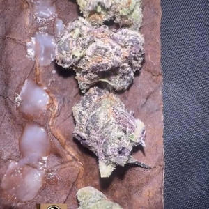 Diddy anthem (Explicit)