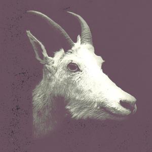 Throw a Spider Like a Boomerang